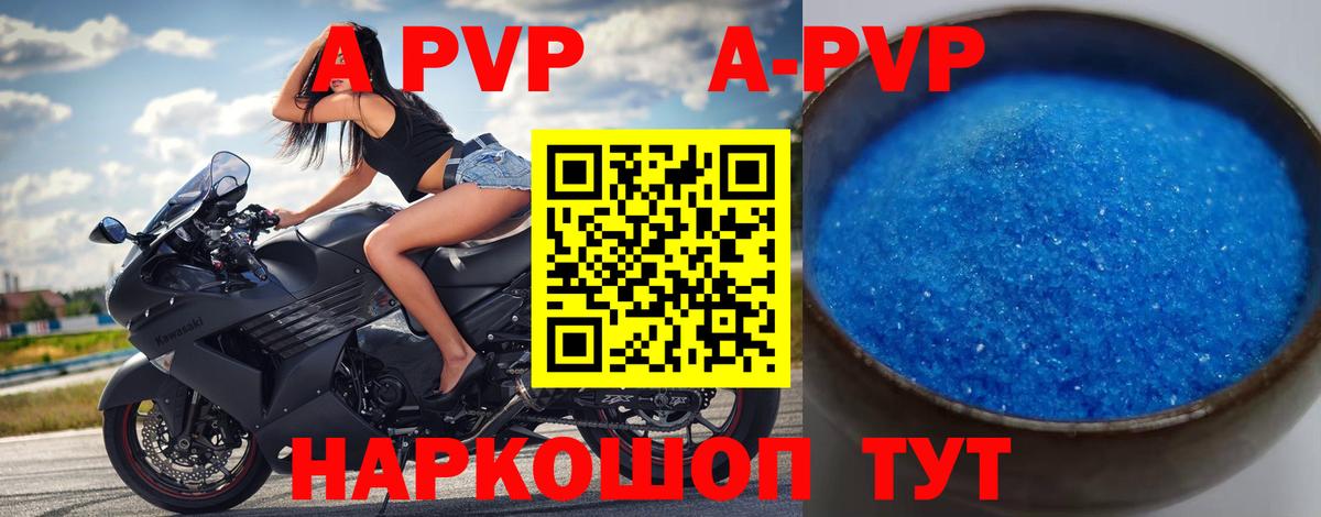 A PVP СК Гатчина