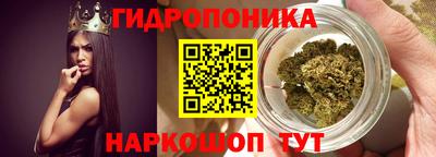 молекула духа Владикавказ