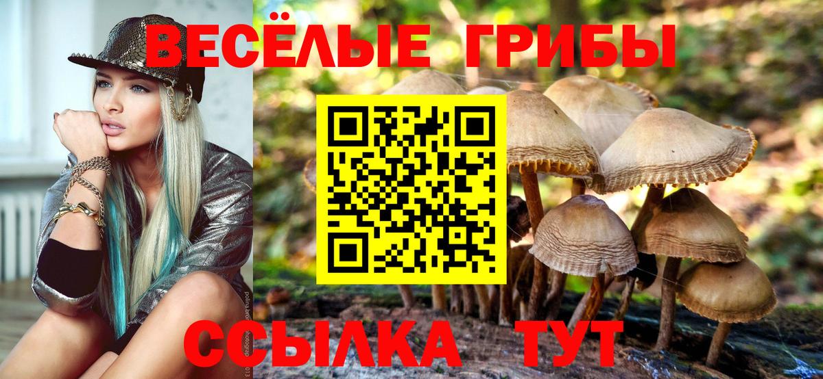 Псилоцибиновые грибы MAGIC MUSHROOMS Гатчина